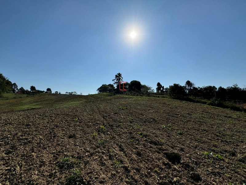 Chacara com 49.000m2 a venda no Passo Amarelo: 15ª foto da galeria de imagens do imóvel