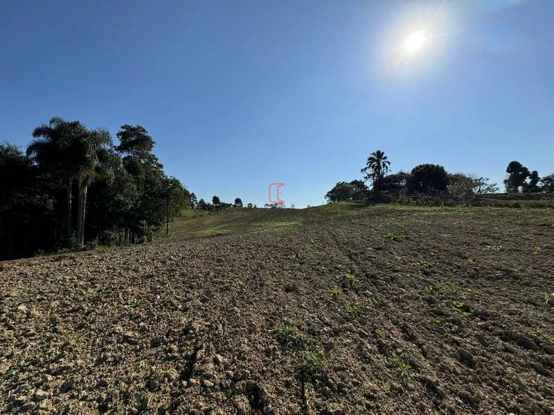 Chacara com 49.000m2 a venda no Passo Amarelo: 16ª foto da galeria de imagens do imóvel