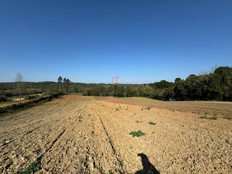 Chacara com 49.000m2 a venda no Passo Amarelo: 14ª foto da galeria de imagens do imóvel