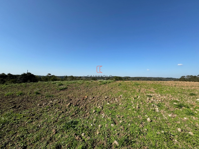 Chacara com 49.000m2 a venda no Passo Amarelo: 5ª foto da galeria de imagens do imóvel
