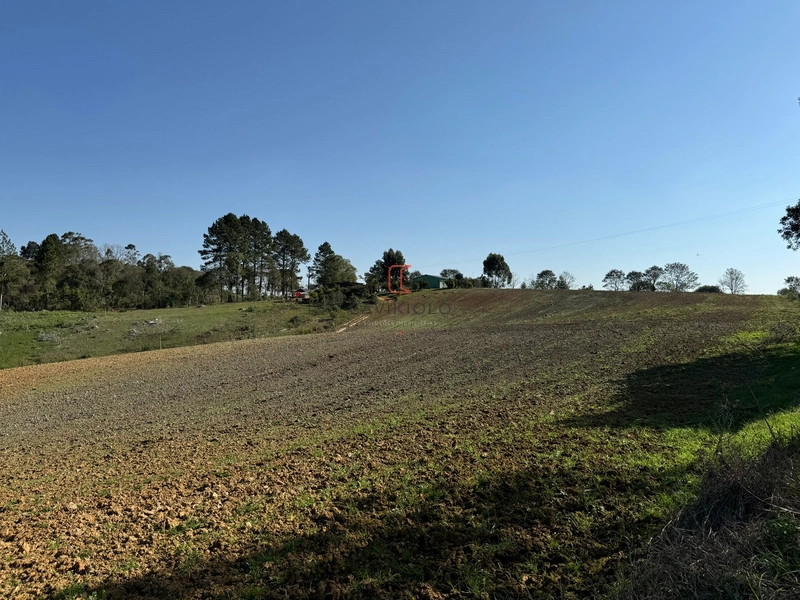 Chacara com 49.000m2 a venda no Passo Amarelo: 12ª foto da galeria de imagens do imóvel