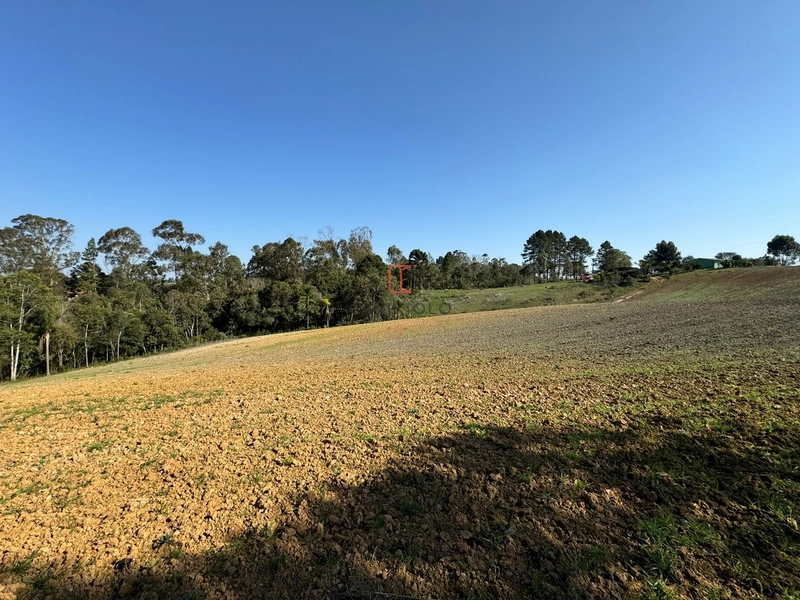Chacara com 49.000m2 a venda no Passo Amarelo: 11ª foto da galeria de imagens do imóvel