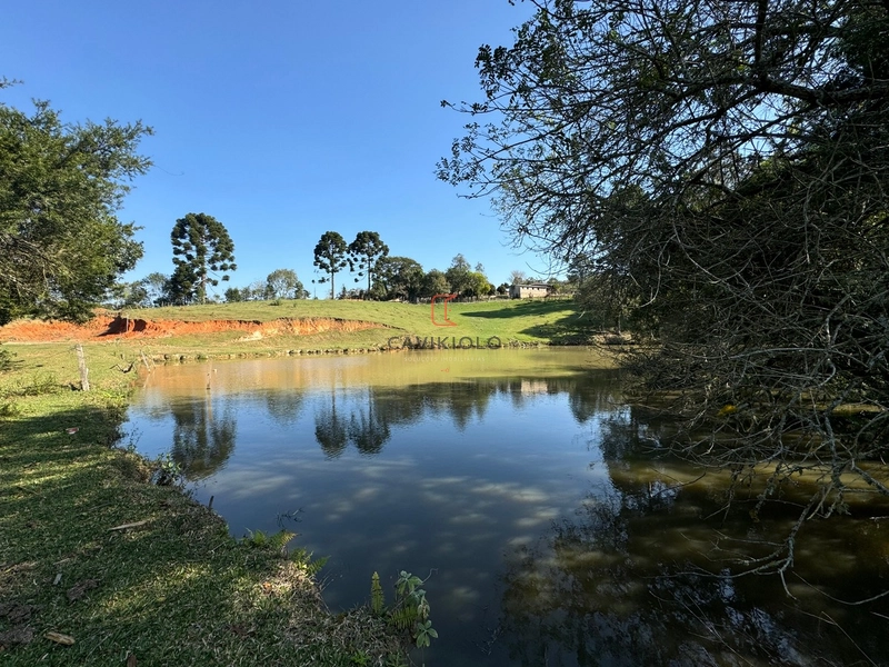 Chacara com 49.000m2 a venda no Passo Amarelo: 22ª foto da galeria de imagens do imóvel