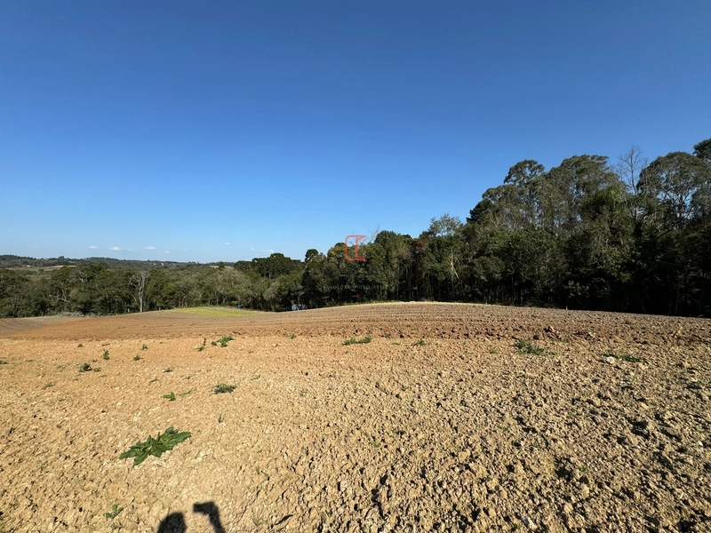 Chacara com 49.000m2 a venda no Passo Amarelo: 13ª foto da galeria de imagens do imóvel