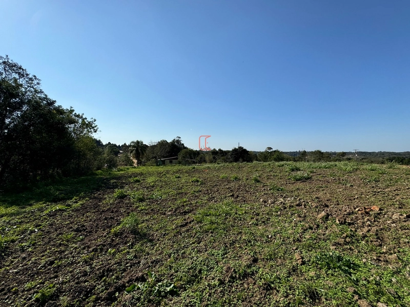 Chacara com 49.000m2 a venda no Passo Amarelo: 4ª foto da galeria de imagens do imóvel