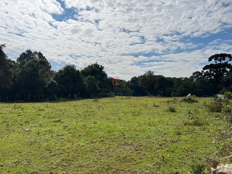 Área 42.000m2 a venda no Ganchinho em Curitiba: 2ª foto da galeria de imagens do imóvel