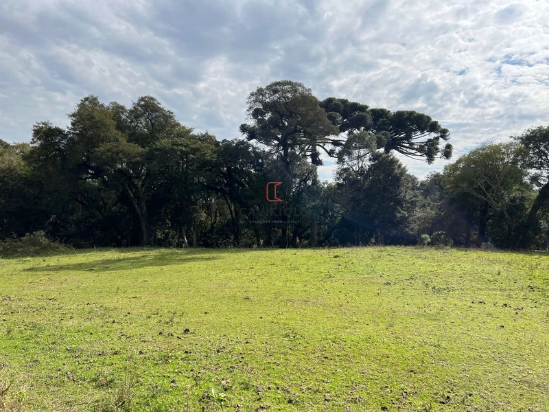 Área 42.000m2 a venda no Ganchinho em Curitiba: 3ª foto da galeria de imagens do imóvel