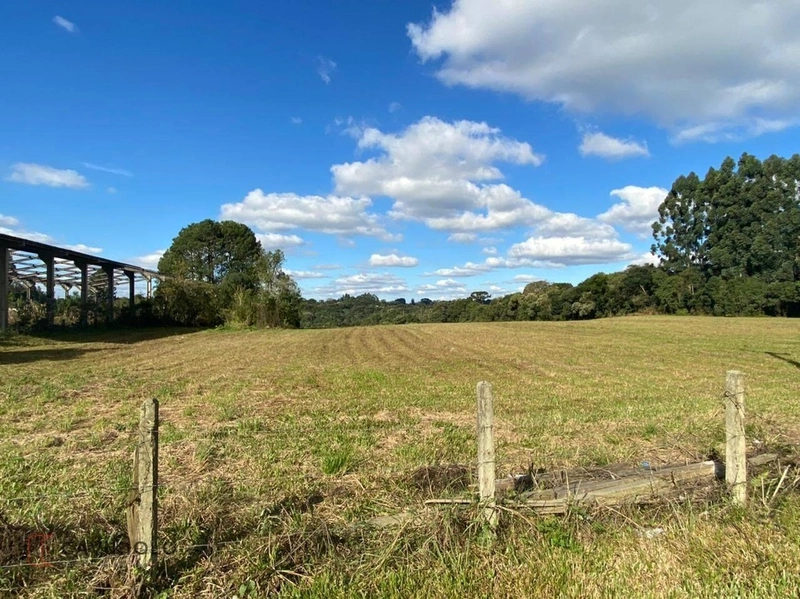 Área com 41.600m2 a venda de frente para a BR-116 41.600m² Tatuquara: 5ª foto da galeria de imagens do imóvel