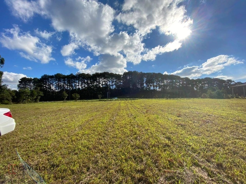 Área com 41.600m2 a venda de frente para a BR-116 41.600m² Tatuquara: 6ª foto da galeria de imagens do imóvel