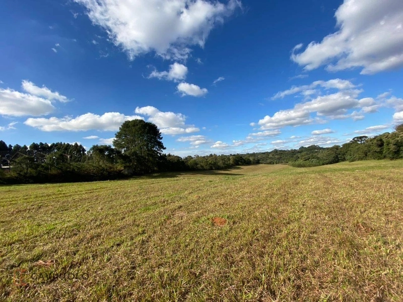 Área com 41.600m2 a venda de frente para a BR-116 41.600m² Tatuquara: 4ª foto da galeria de imagens do imóvel