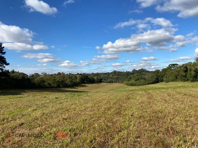 Área com 41.600m2 a venda de frente para a BR-116 41.600m² Tatuquara: 3ª foto da galeria de imagens do imóvel
