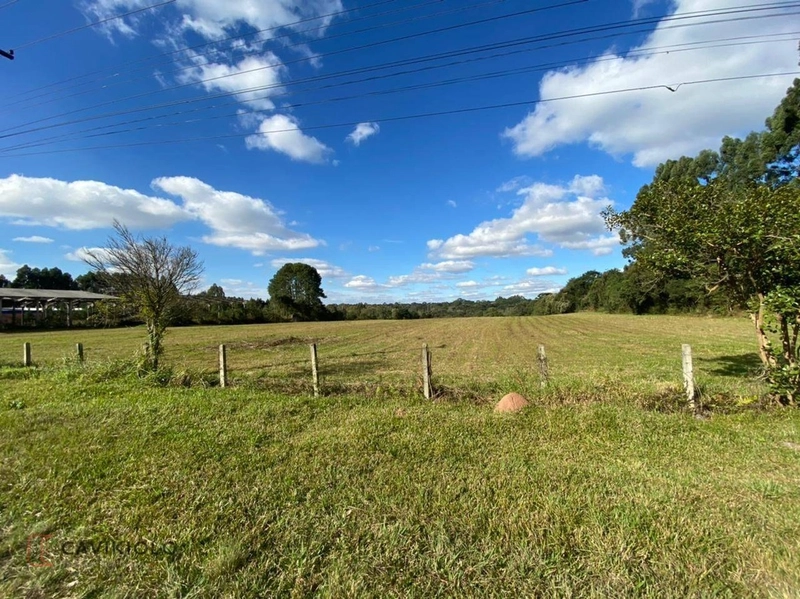 Área com 41.600m2 a venda de frente para a BR-116 41.600m² Tatuquara: 1ª foto da galeria de imagens do imóvel