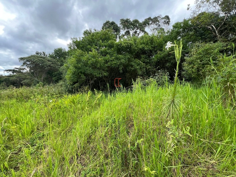 Terreno de 4.235,00m2 a venda no Ganchinho: 3ª foto da galeria de imagens do imóvel