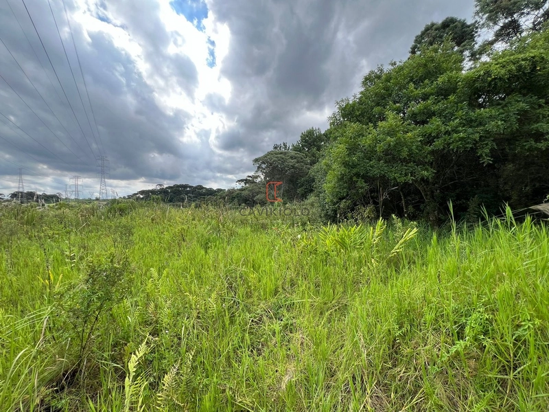 Terreno de 4.235,00m2 a venda no Ganchinho: 6ª foto da galeria de imagens do imóvel