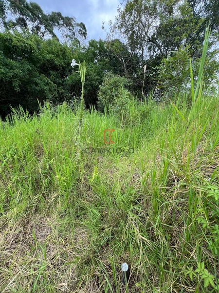 Terreno de 4.235,00m2 a venda no Ganchinho: 5ª foto da galeria de imagens do imóvel