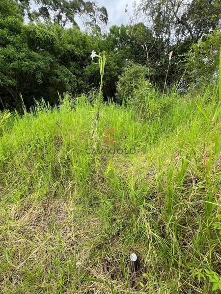 Terreno de 4.235,00m2 a venda no Ganchinho: 4ª foto da galeria de imagens do imóvel