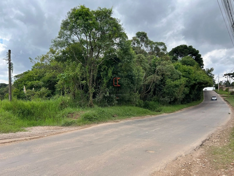 Terreno de 4.235,00m2 a venda no Ganchinho: 9ª foto da galeria de imagens do imóvel