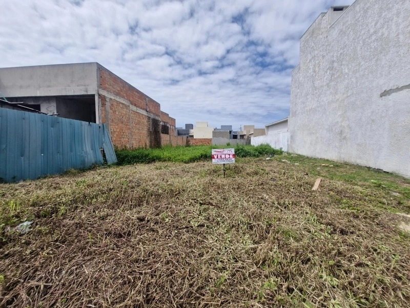 Terreno na Avenida do Loteamento Nova Guarani: 4ª foto da galeria de imagens do imóvel