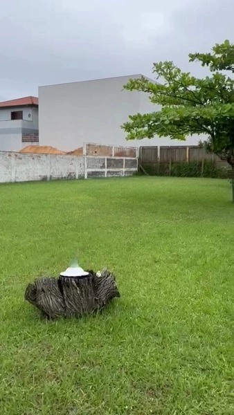 CASA COM 2 TERRENOS MUITO BEM LOCALIZADA NO ARAÇÁ -CAPÃO DA CANOA: 8ª foto da galeria de imagens do imóvel
