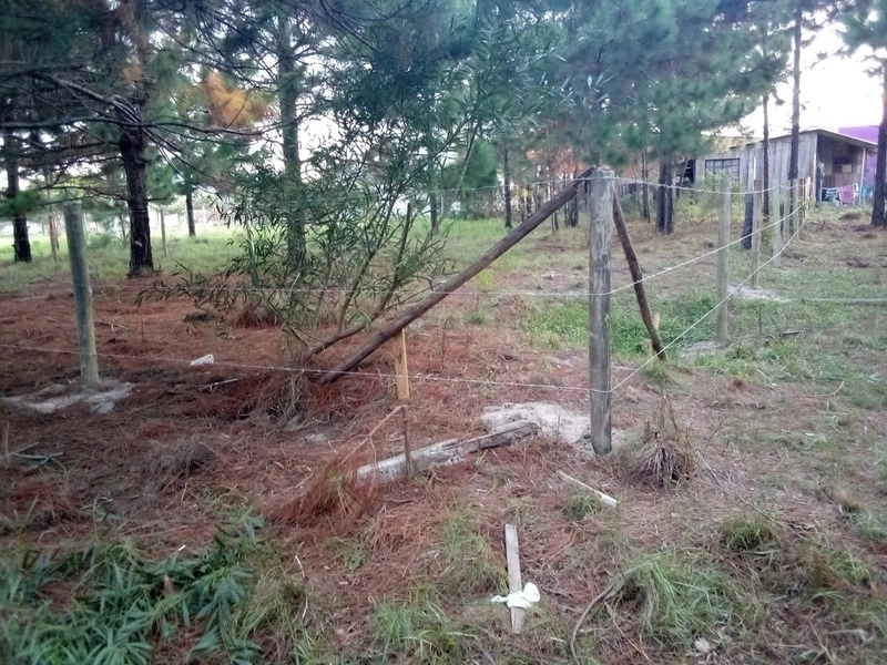 TERRENO BEM LOCALIZADO COM VISTA PARA PARAGUASSU: 7ª foto da galeria de imagens do imóvel