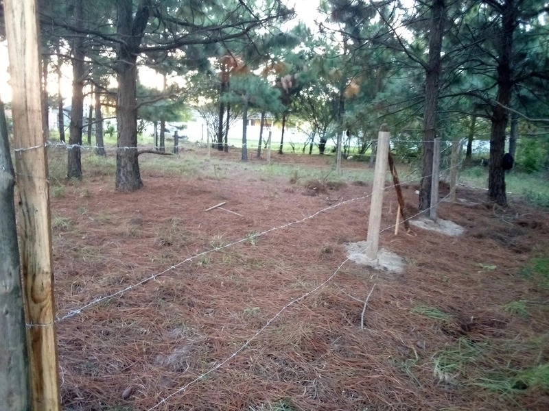 TERRENO BEM LOCALIZADO COM VISTA PARA PARAGUASSU: 1ª foto da galeria de imagens do imóvel