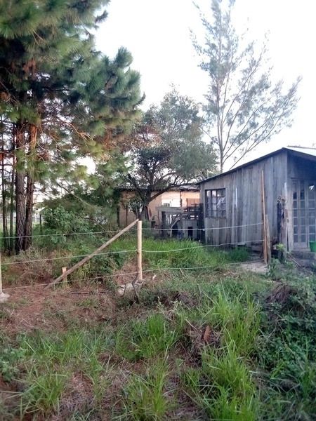TERRENO BEM LOCALIZADO COM VISTA PARA PARAGUASSU: 2ª foto da galeria de imagens do imóvel