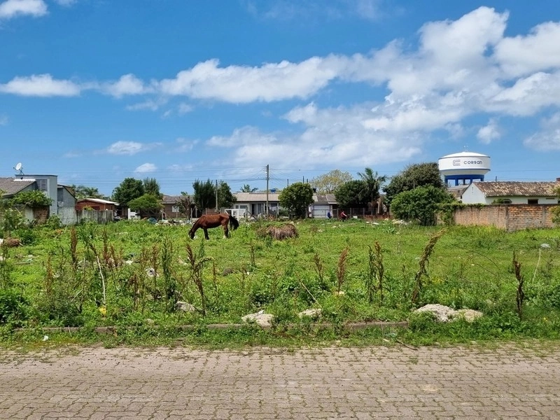 TERRENOS ÓTIMOS  PARA INVESTIDORES!: 4ª foto da galeria de imagens do imóvel