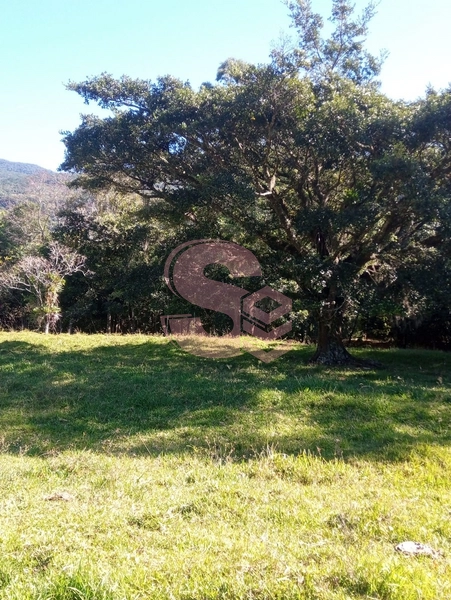 null: 2ª foto da galeria de imagens do imóvel