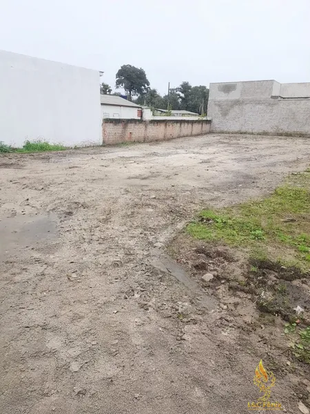 TERRENO MATINHOS PR: 11ª foto da galeria de imagens do imóvel