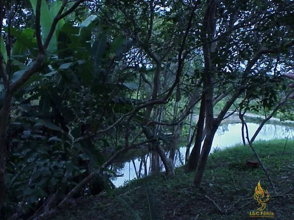 CHACARA EM ANTONINA: 11ª foto da galeria de imagens do imóvel