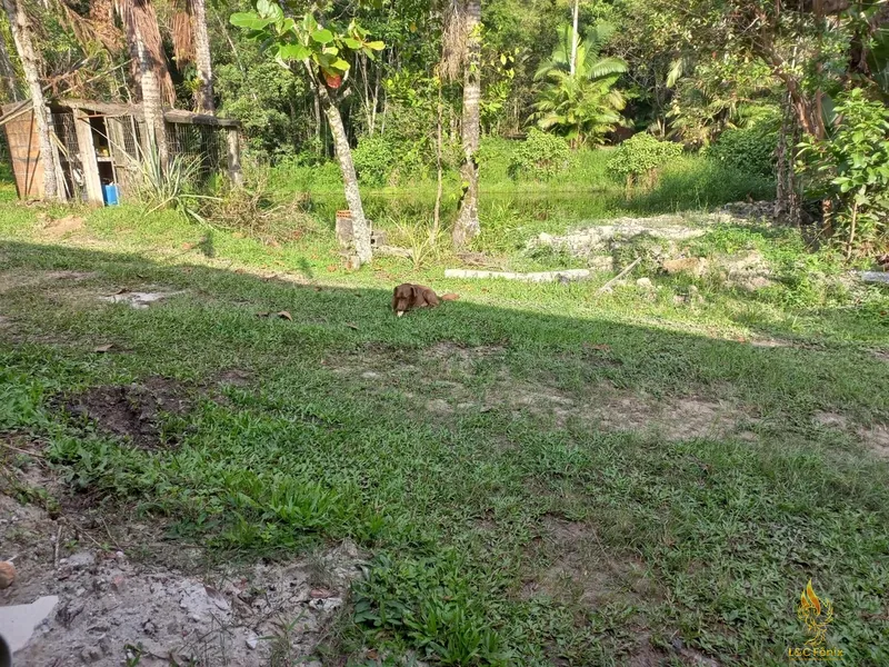 CHACARA EM ANTONINA: 3ª foto da galeria de imagens do imóvel
