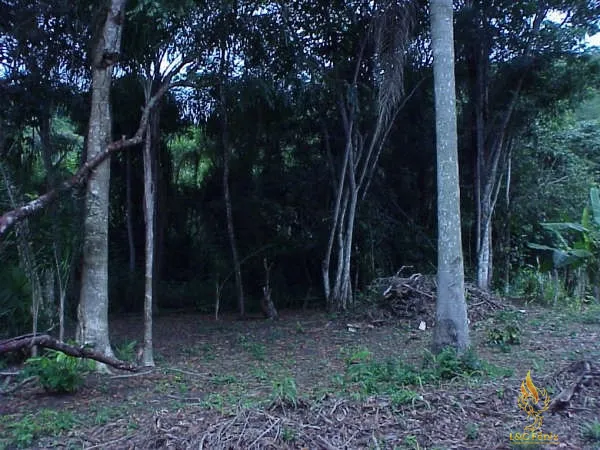 CHACARA EM ANTONINA: 14ª foto da galeria de imagens do imóvel