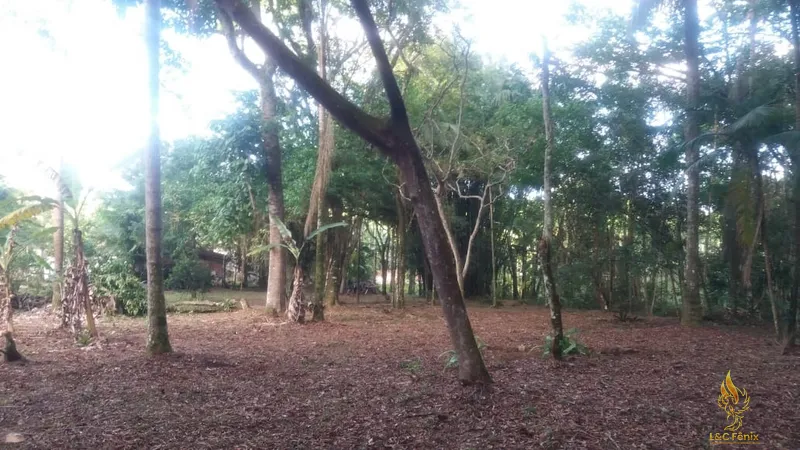 CHACARA EM ANTONINA: 7ª foto da galeria de imagens do imóvel