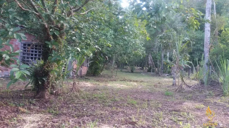 CHACARA EM ANTONINA: 9ª foto da galeria de imagens do imóvel