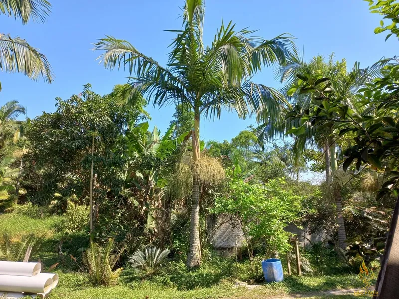 CHACARA EM ANTONINA: 1ª foto da galeria de imagens do imóvel