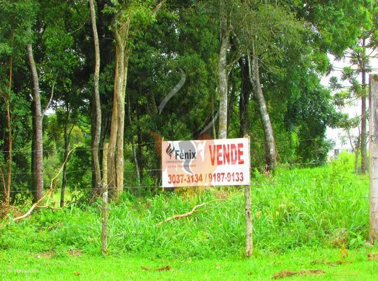 TERRENO A VENDA COM 1550 METROS EM COLOMBO/PR: 13ª foto da galeria de imagens do imóvel