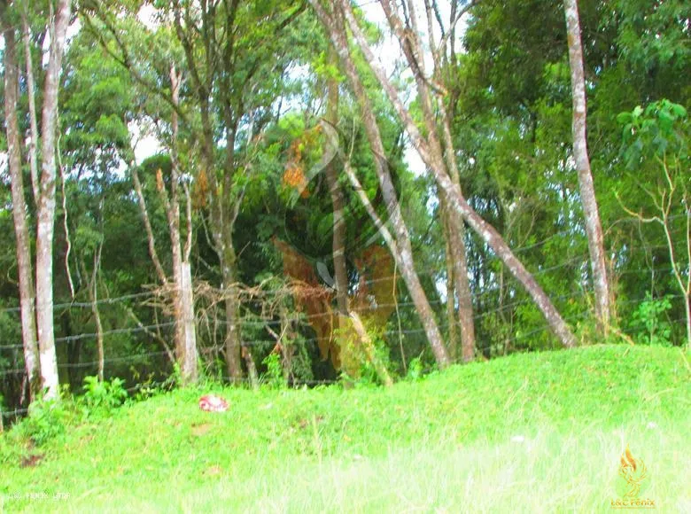 TERRENO A VENDA COM 1550 METROS EM COLOMBO/PR: 14ª foto da galeria de imagens do imóvel