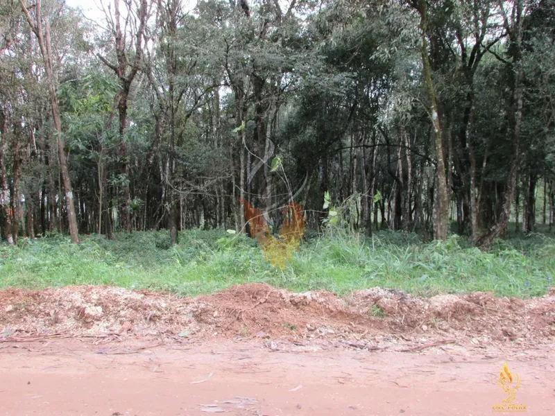 TERRENO A VENDA COM 1550 METROS EM COLOMBO/PR: 16ª foto da galeria de imagens do imóvel