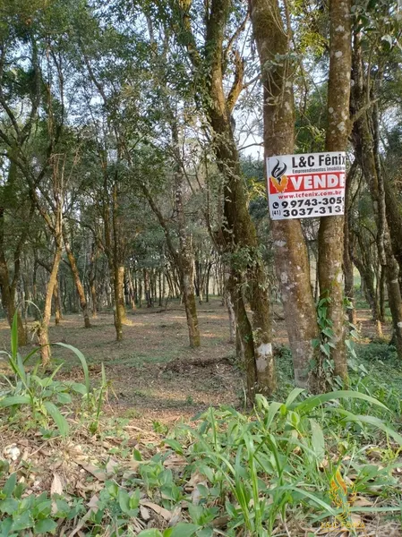 TERRENO A VENDA COM 1550 METROS EM COLOMBO/PR: 35ª foto da galeria de imagens do imóvel