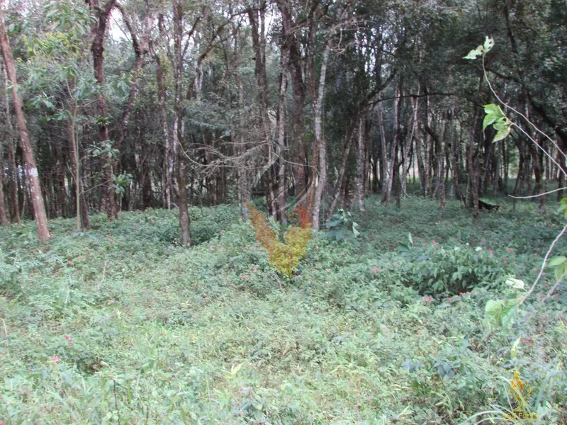 TERRENO A VENDA COM 1550 METROS EM COLOMBO/PR: 18ª foto da galeria de imagens do imóvel