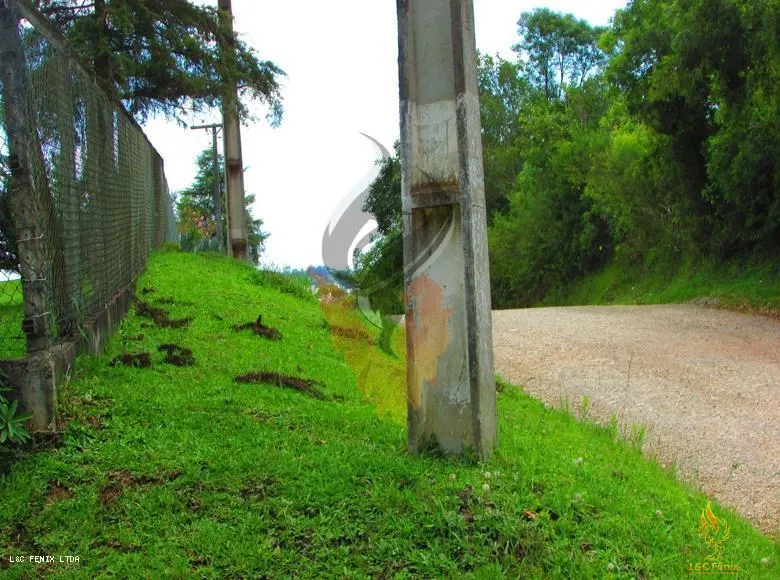 TERRENO A VENDA COM 1550 METROS EM COLOMBO/PR: 12ª foto da galeria de imagens do imóvel