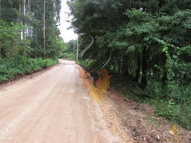 TERRENO A VENDA COM 1550 METROS EM COLOMBO/PR: 5ª foto da galeria de imagens do imóvel