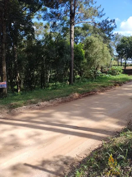TERRENO A VENDA COM 1550 METROS EM COLOMBO/PR: 32ª foto da galeria de imagens do imóvel