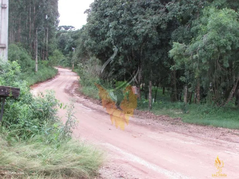 TERRENO A VENDA COM 1550 METROS EM COLOMBO/PR: 7ª foto da galeria de imagens do imóvel