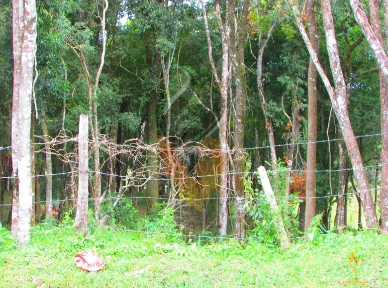 TERRENO A VENDA COM 1550 METROS EM COLOMBO/PR: 9ª foto da galeria de imagens do imóvel