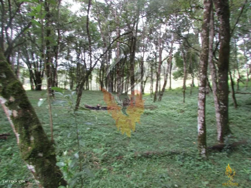 TERRENO A VENDA COM 1550 METROS EM COLOMBO/PR: 3ª foto da galeria de imagens do imóvel