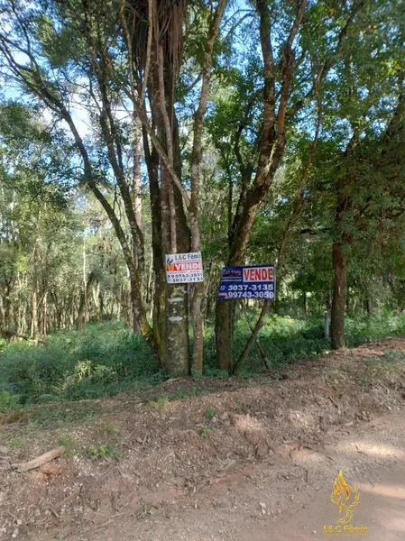 TERRENO A VENDA COM 1550 METROS EM COLOMBO/PR: 20ª foto da galeria de imagens do imóvel