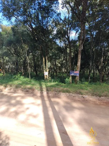 TERRENO A VENDA COM 1550 METROS EM COLOMBO/PR: 31ª foto da galeria de imagens do imóvel