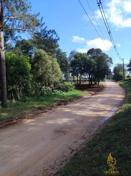 TERRENO A VENDA COM 1550 METROS EM COLOMBO/PR: 30ª foto da galeria de imagens do imóvel