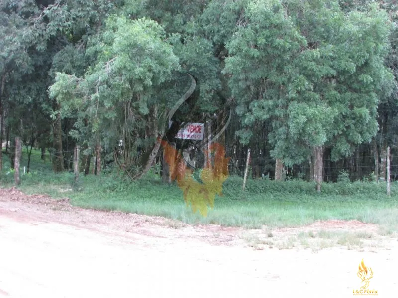 TERRENO A VENDA COM 1550 METROS EM COLOMBO/PR: 6ª foto da galeria de imagens do imóvel
